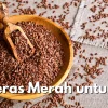 Beras Merah untuk Diet: Fakta Gizi & Cara Konsumsi yang Benar