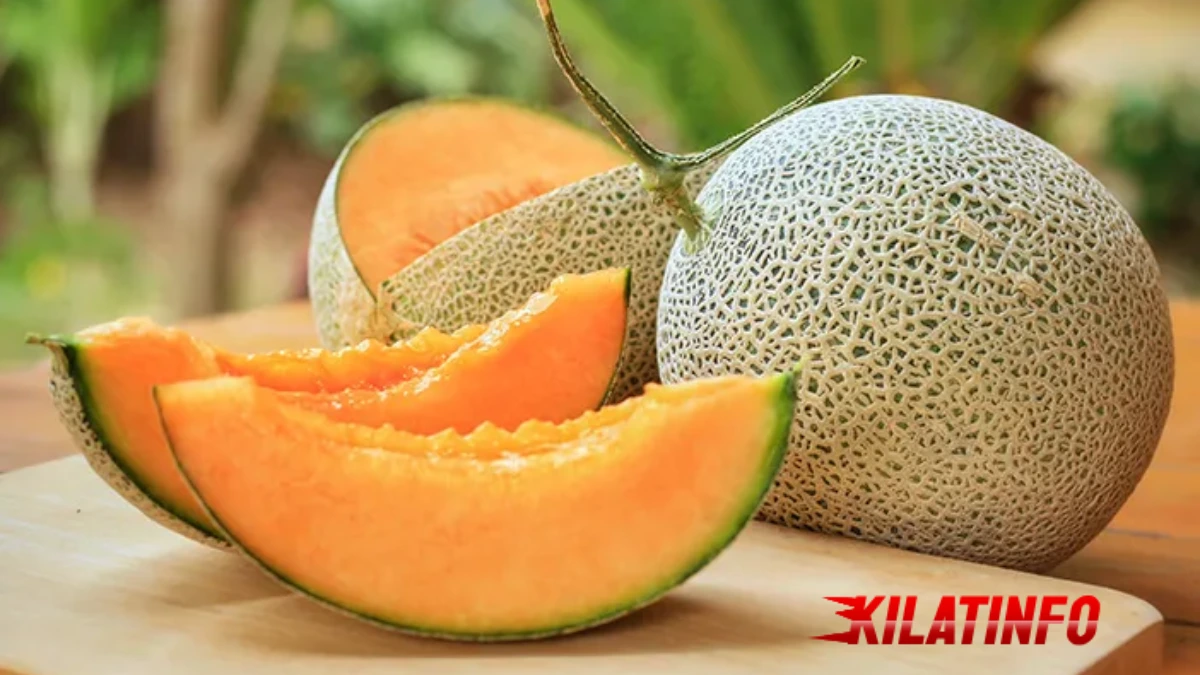 Manfaat Buah Melon