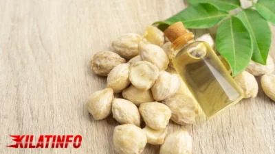 Manfaat Minyak Kemiri