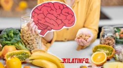 Nutrisi Otak: Rahasia Cerdas, Fokus, dan Ingatan Tajam
