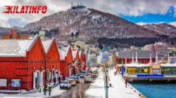 Hokkaido: Pesona Alam Utara Jepang yang Memikat Wisatawan