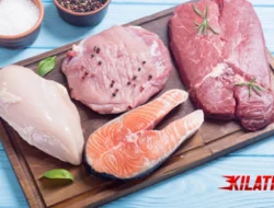 Karnivor Diet: Pola Makan Ekstrem Berbasis Protein Hewani