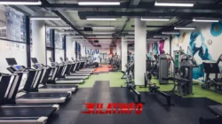 GYM: Sarana Olahraga Modern untuk Membentuk Tubuh Ideal & Sehat