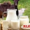 Manfaat Susu Kambing untuk Kesehatan Tubuh