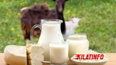 Manfaat Susu Kambing