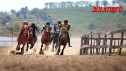 Pacu Kuda: Olahraga Kecepatan & Strategi yang Memikat